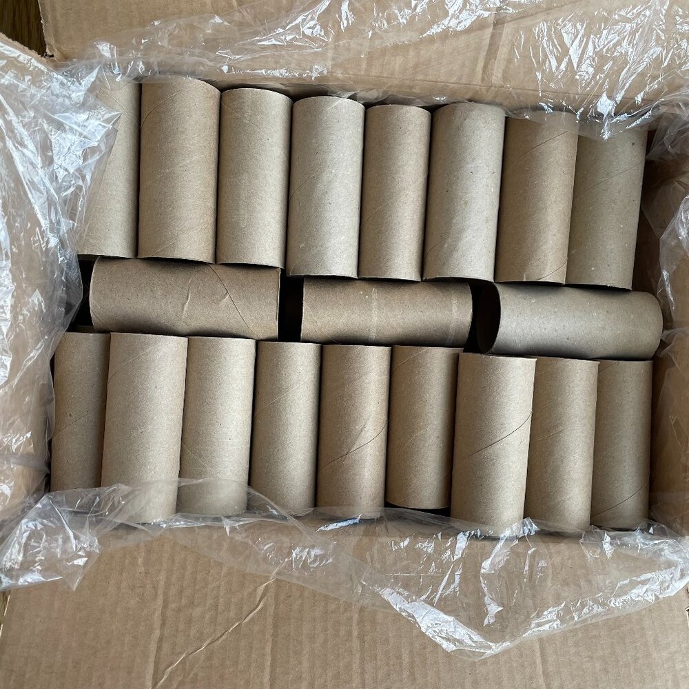 40 Empty Toilet Paper Rolls Cardboard Tubes Craft Art Project School Camp Kids